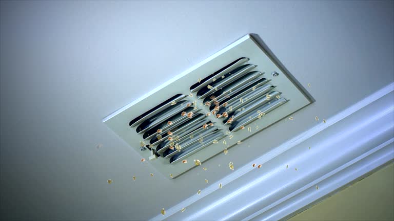Best Affordable Air Duct Cleaning  in Silver Springs, NV