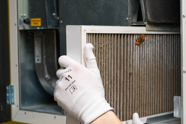 Best Home Air Vent Cleaning  in Silver Springs, NV